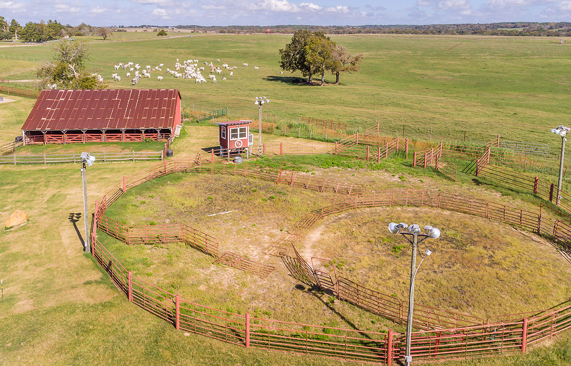 Wallace Prairie Ranch 595 Acre Ranch For Sale In Grimes County Image 16