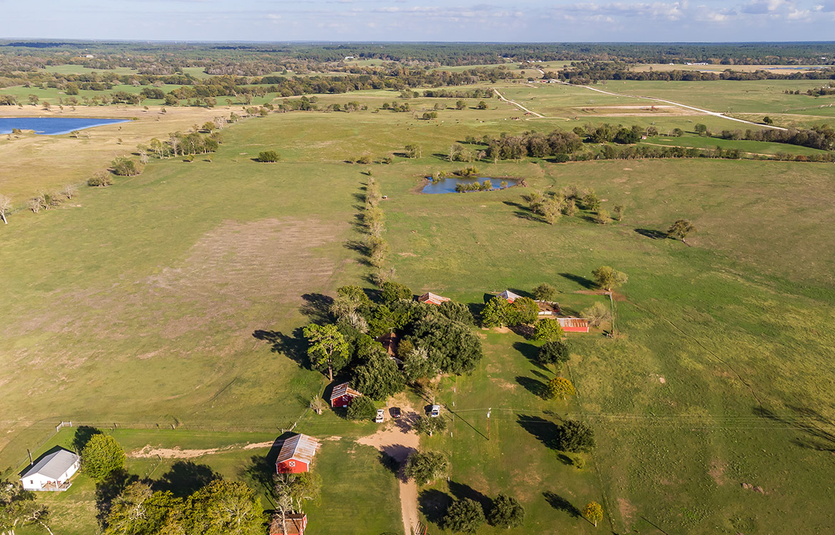 Whitehall Ranchette 60 Acre Ranch For Sale In Grimes County Image 12