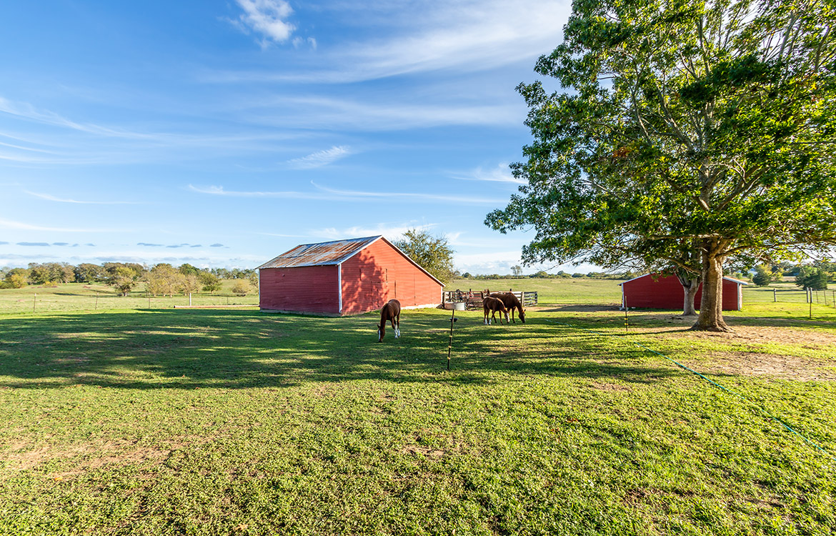 Whitehall Ranchette 60 Acre Ranch For Sale In Grimes County Image 2