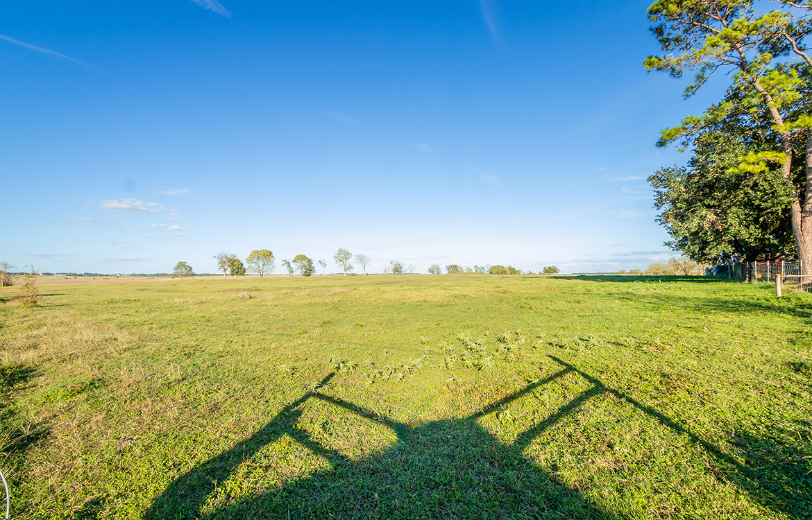 Whitehall Ranchette 60 Acre Ranch For Sale In Grimes County Image 8