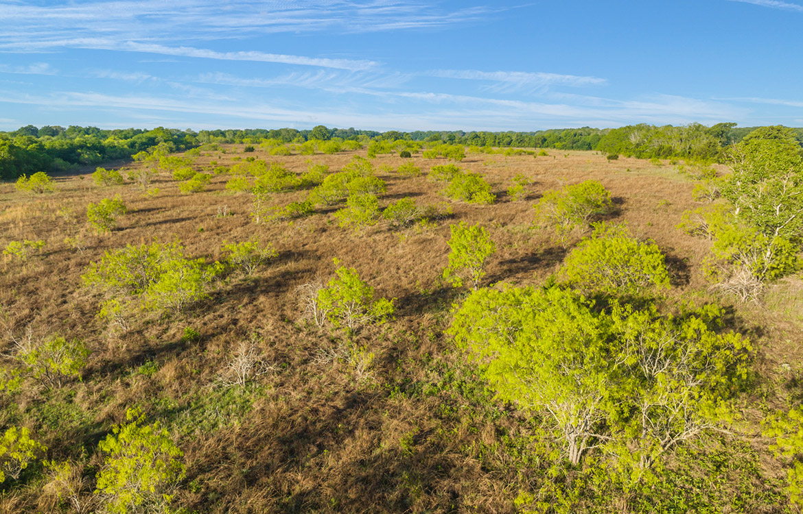 Thorne Ranch 10 Acre Ranch For Sale In Hill County Image 5