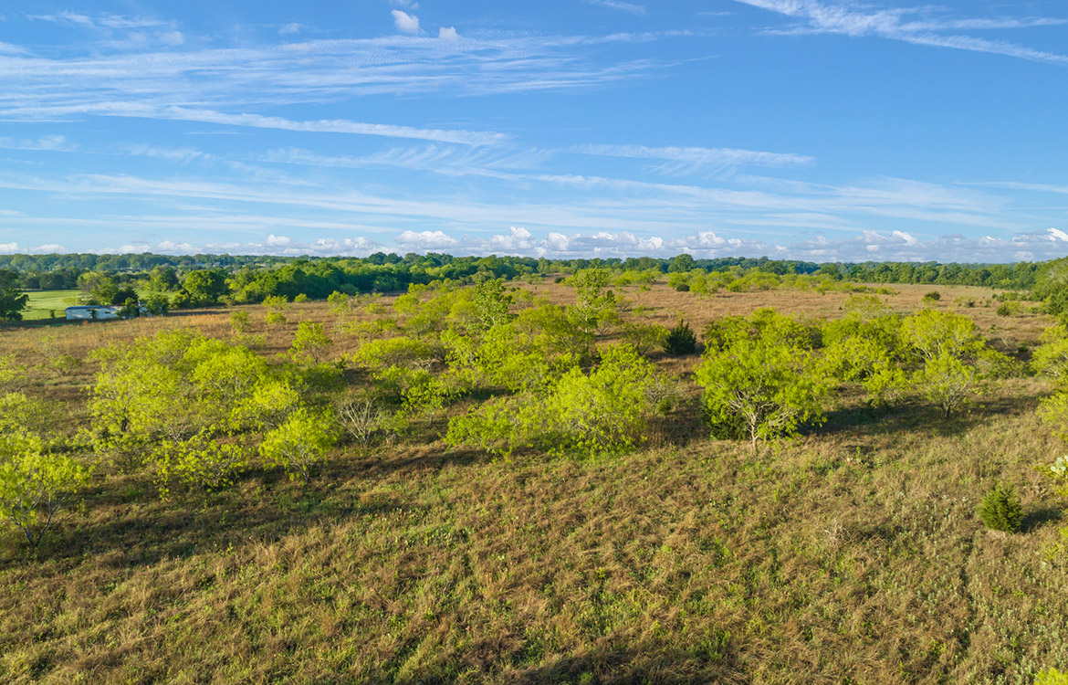 Thorne Ranch 10 Acre Ranch For Sale In Hill County Image 6