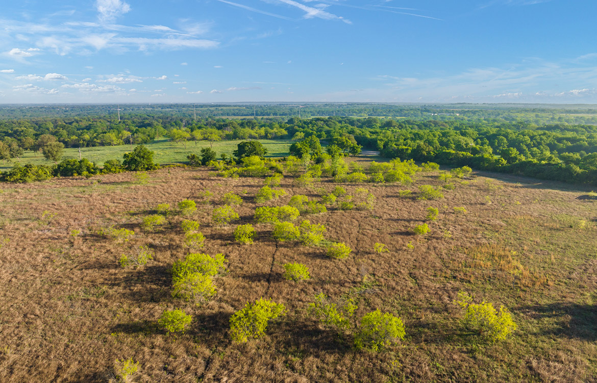 Thorne Ranch 10 Acre Ranch For Sale In Hill County Image 7