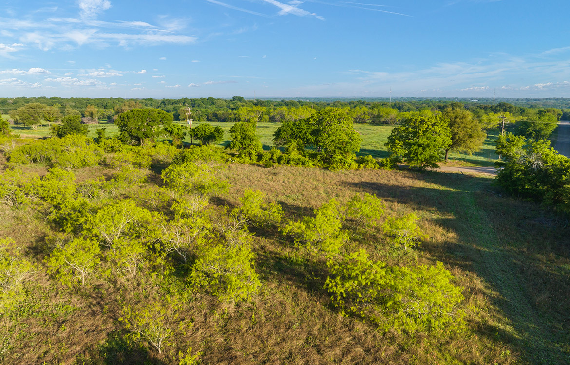 Thorne Ranch 10 Acre Ranch For Sale In Hill County Image 8