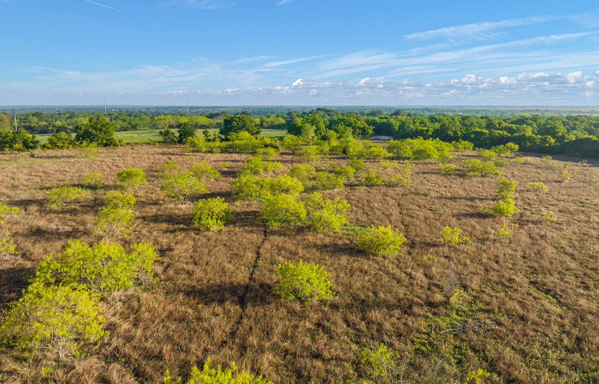 Thorne Ranch 10 Acre Ranch For Sale In Hill County Image 9