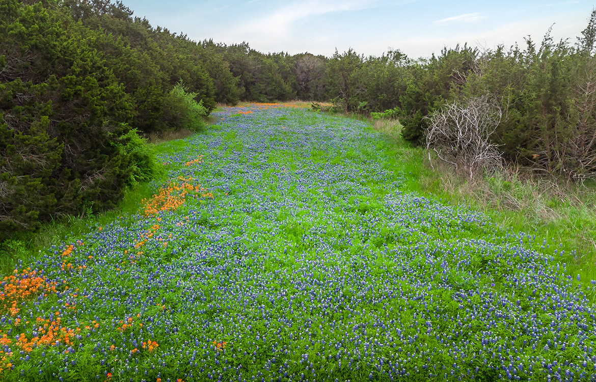 Peanut Hill Ranch 42 Acre Ranch For Sale In Johnson County