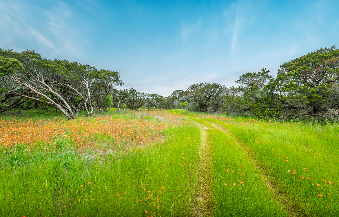 Peanut Hill Ranch 42 Acre Ranch For Sale In Johnson County