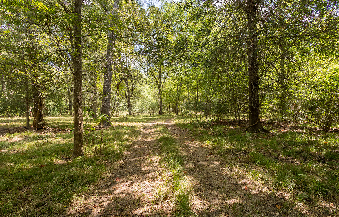 Triple Creek Ranch 140 Acre Ranch Lee County Image 11