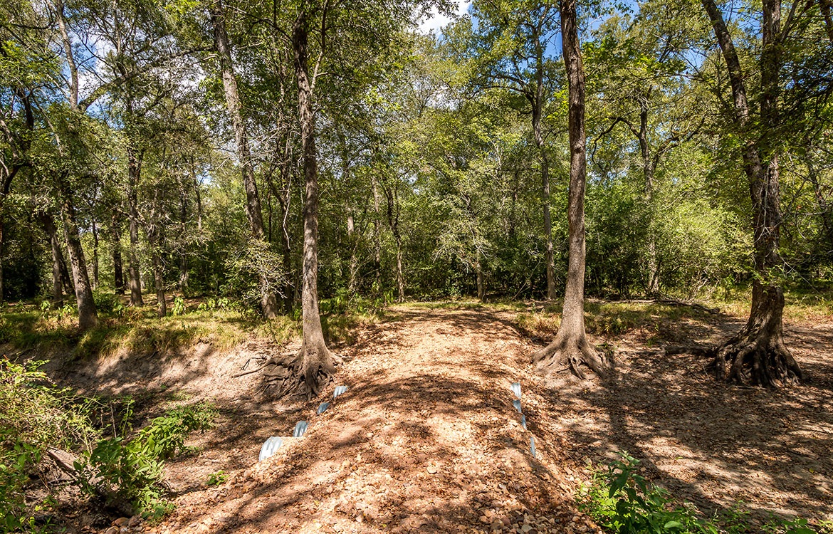Triple Creek Ranch 140 Acre Ranch Lee County Image 2