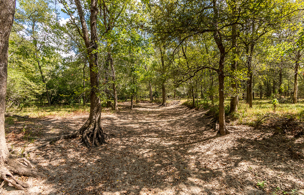 Triple Creek Ranch 140 Acre Ranch Lee County Image 4