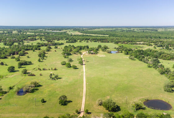 3J Ranch 29 Acre Ranch For Sale In Lee County Image 17