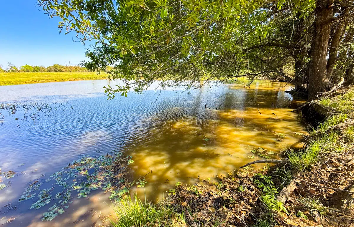 Turbo Ranchette 33 acre property for sale in Limestone County Image 1