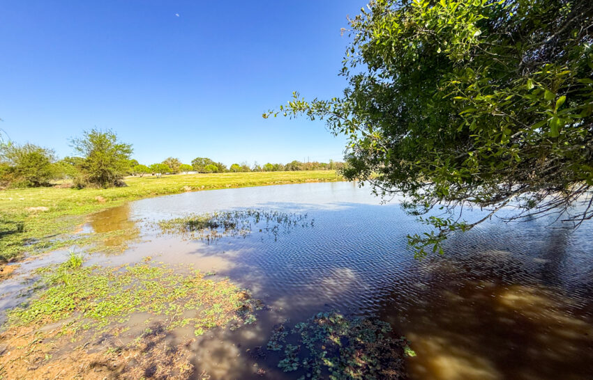 Turbo Ranchette 33 acre property for sale in Limestone County Image 2