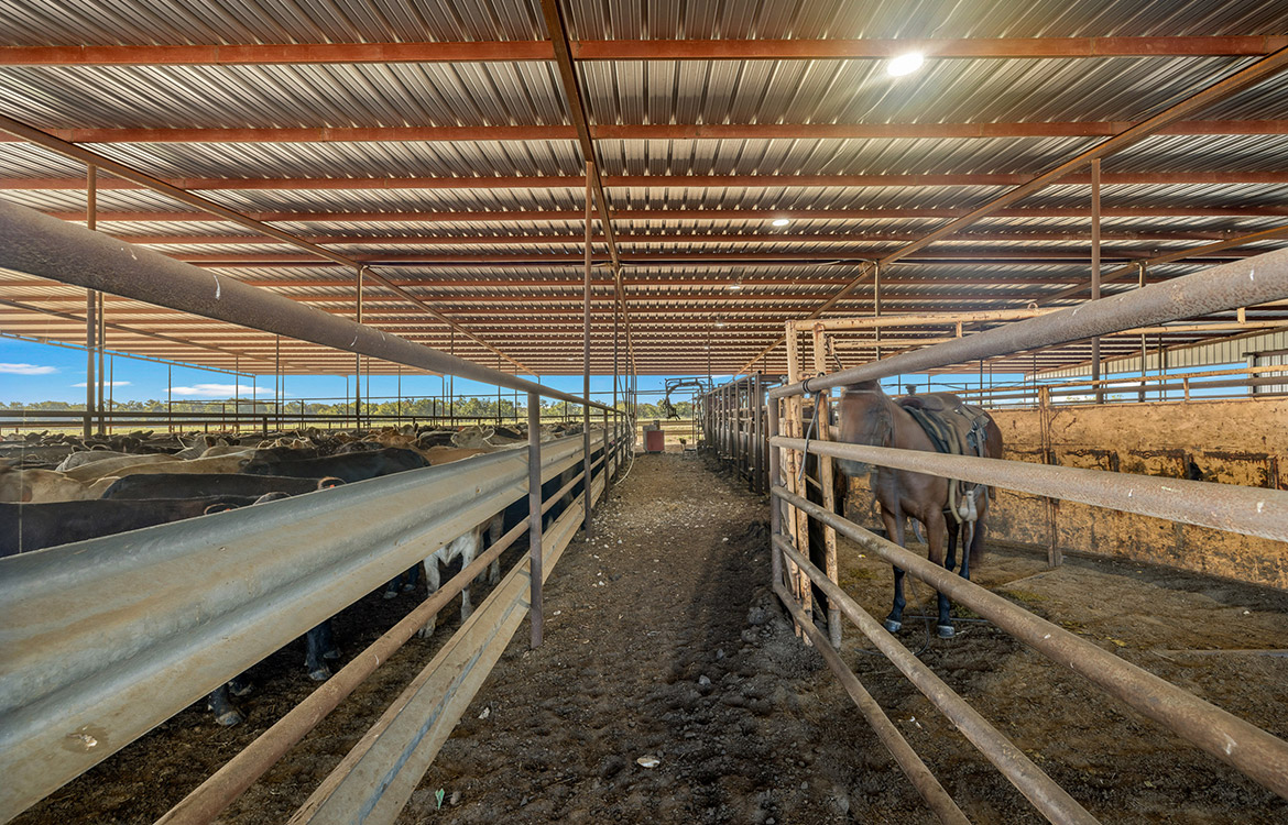 Napa Ranch 550 Acre Ranch For Sale In Limestone County Image 3