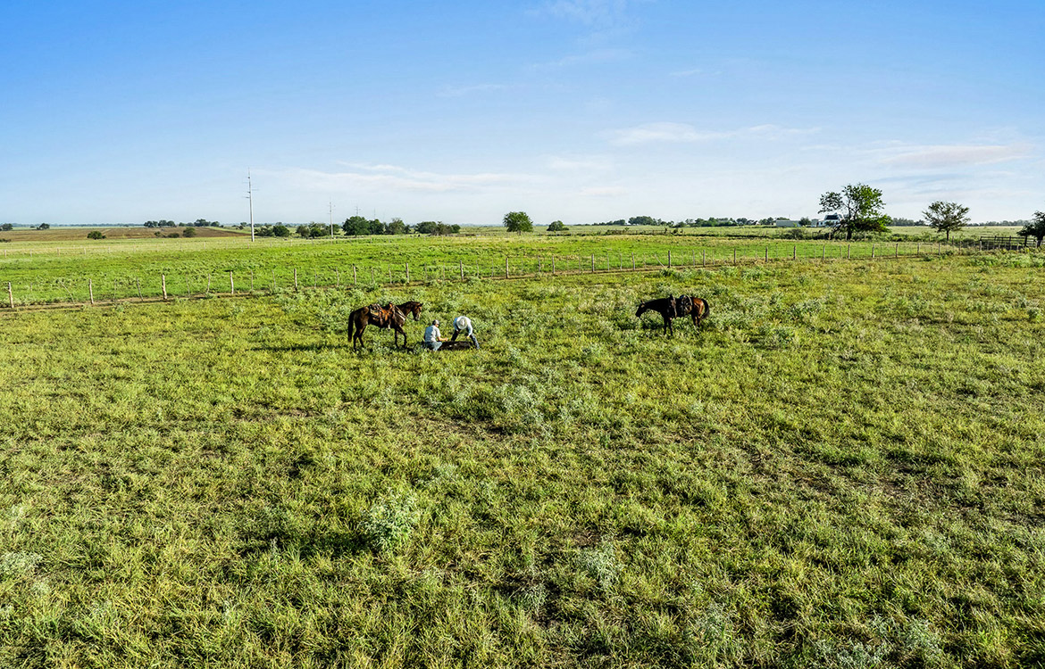Napa Ranch 550 Acre Ranch For Sale In Limestone County Image 4