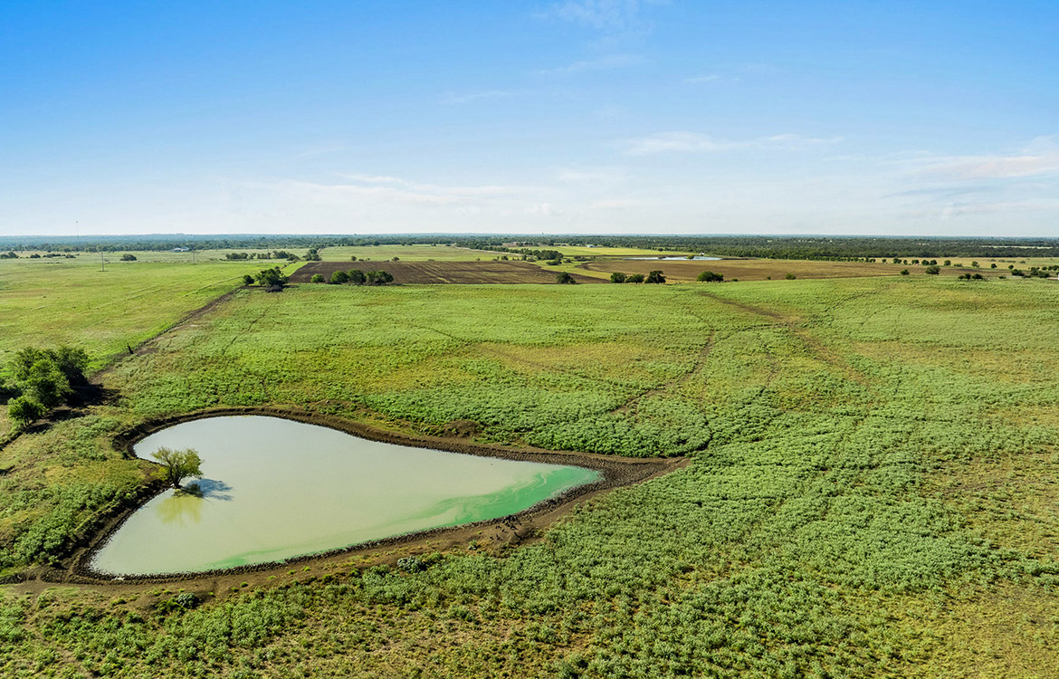 Napa Ranch 550 Acre Ranch For Sale In Limestone County Image 7