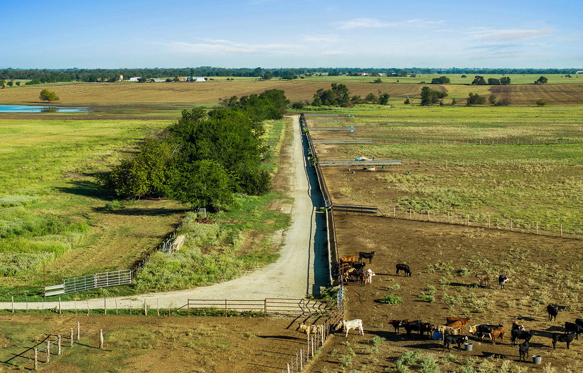 Napa Ranch 550 Acre Ranch For Sale In Limestone County Image 8