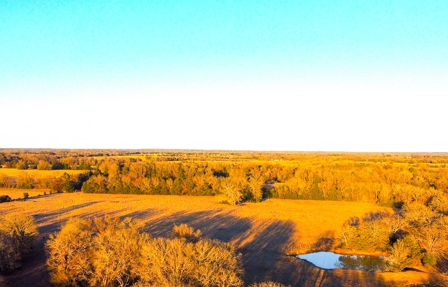 Pin Oak Creek Ranch 70 Acre Ranch For Sale in Limestone County Image 1