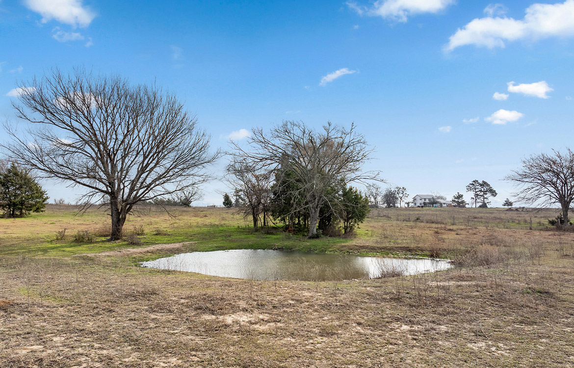 Rancho Del Sol 95 Acre Ranch For Sale In Limestone County Image 15