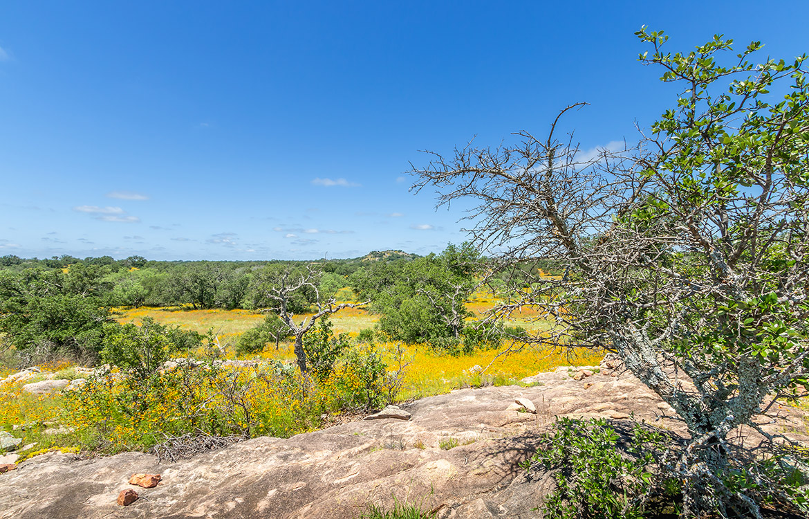 Horseshoe Waterhole 140 Acre Ranch For Sale In Llano County Image 3