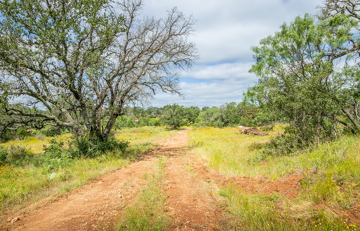 Pecan Creek Ranch 522 Acre Ranch For Sale In Llano County Image 11
