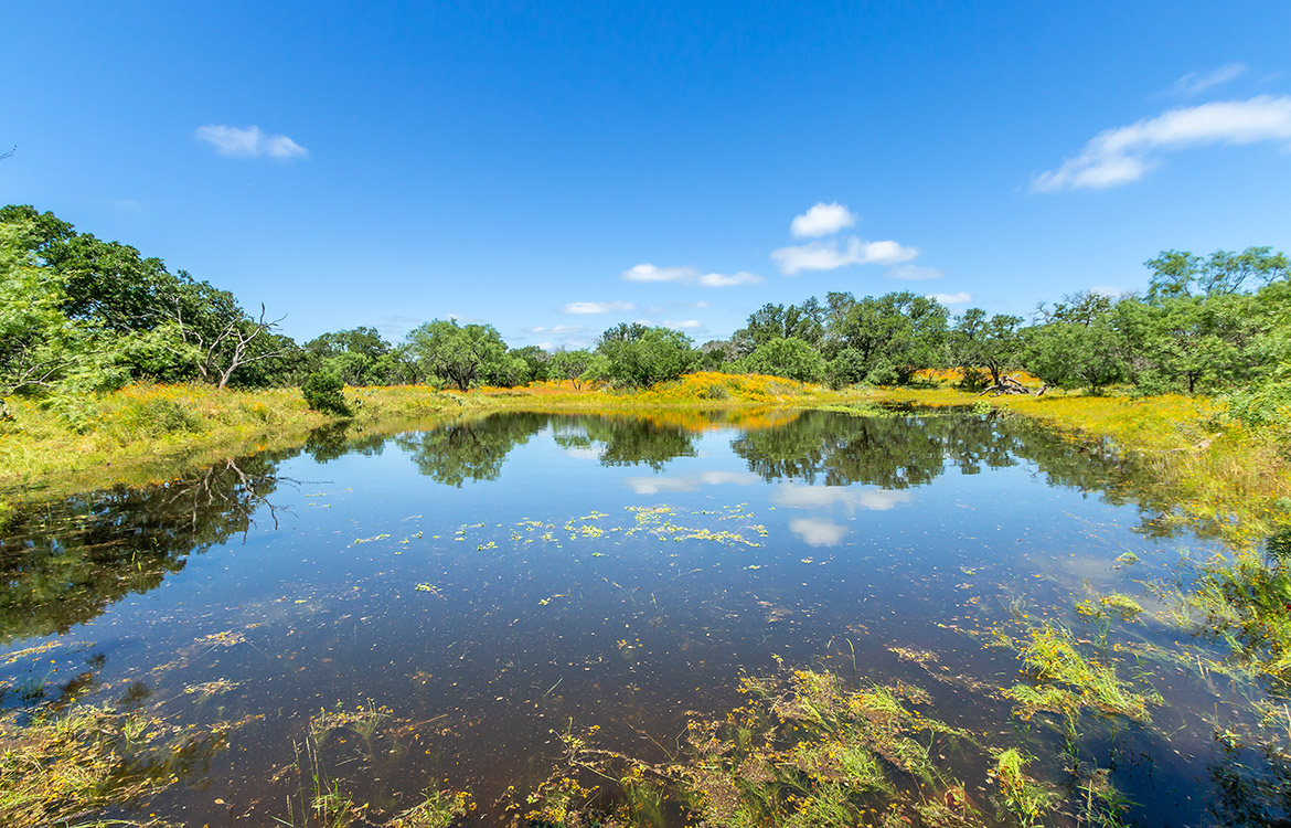 Pecan Creek Ranch 522 Acre Ranch For Sale In Llano County Image 9