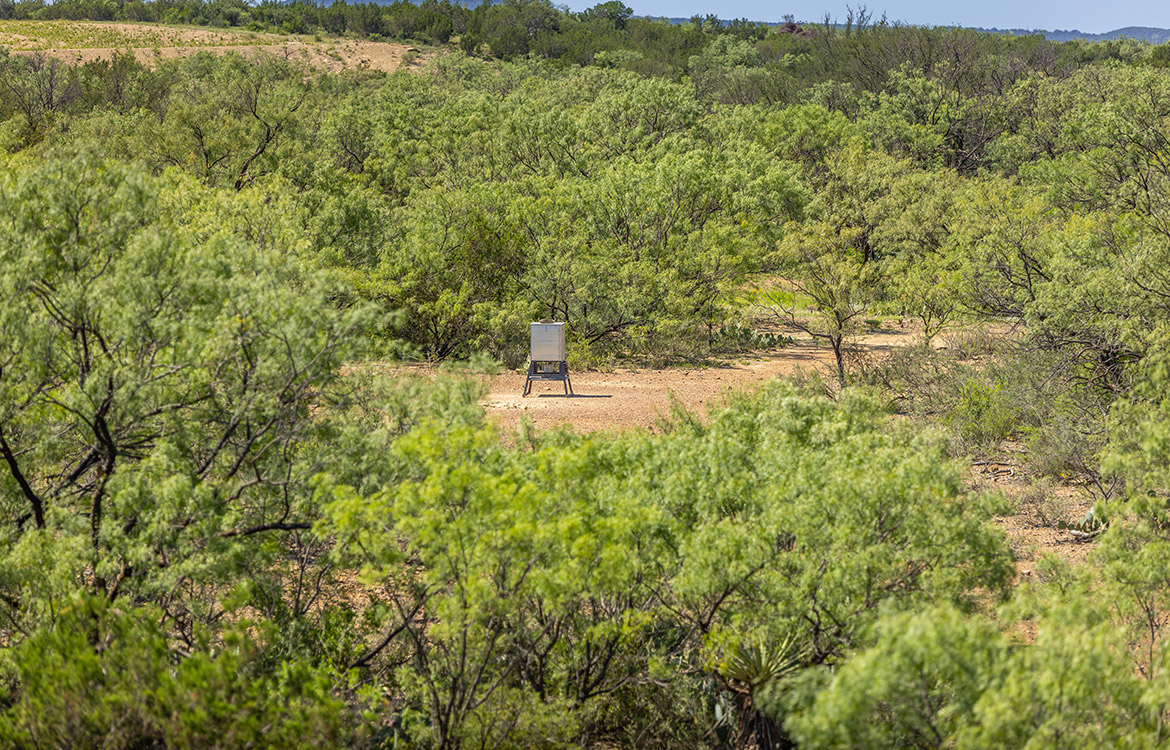 Brady Bunch Ranch 1901 Acre Ranch For Sale In McCulloch County Image 10