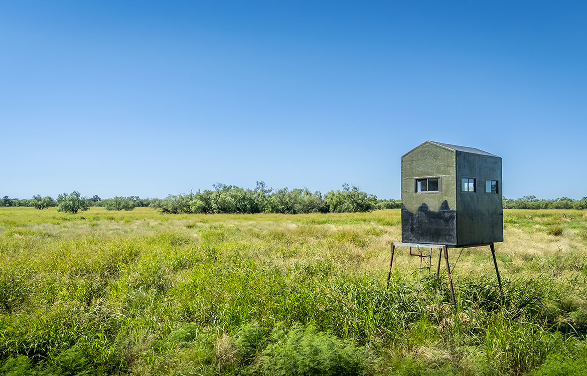 Brady Bunch Ranch 1901 Acre Ranch For Sale In McCulloch County Image 16