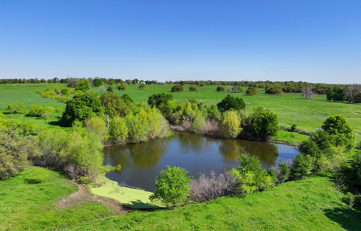 4C Ranch 1600 Acre Ranch For Sale In Milam County Image 13