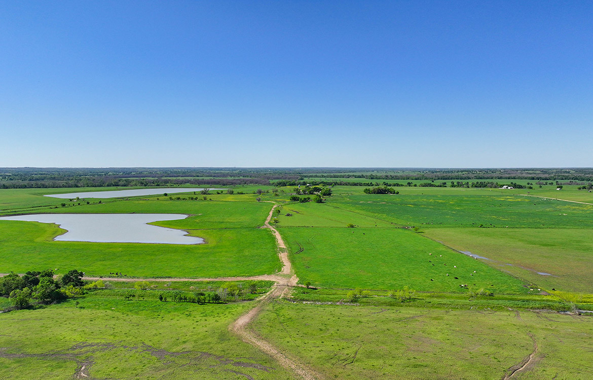 4C Ranch 1600 Acre Ranch For Sale In Milam County Image 17