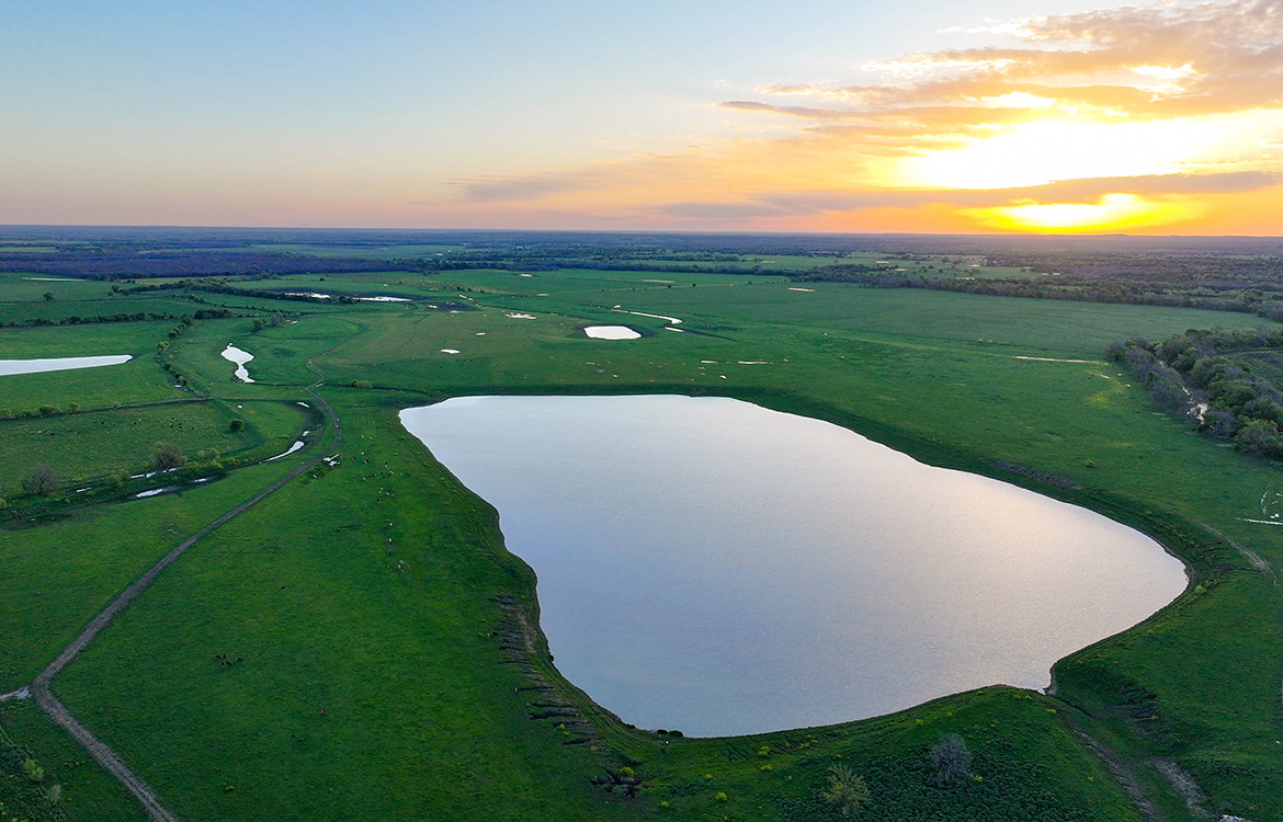 4C Ranch 1600 Acre Ranch For Sale In Milam County Image 19