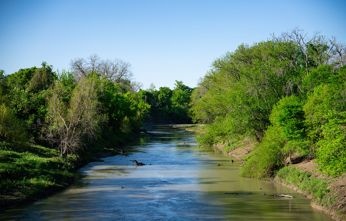 4C Ranch 1600 Acre Ranch For Sale In Milam County Image 4