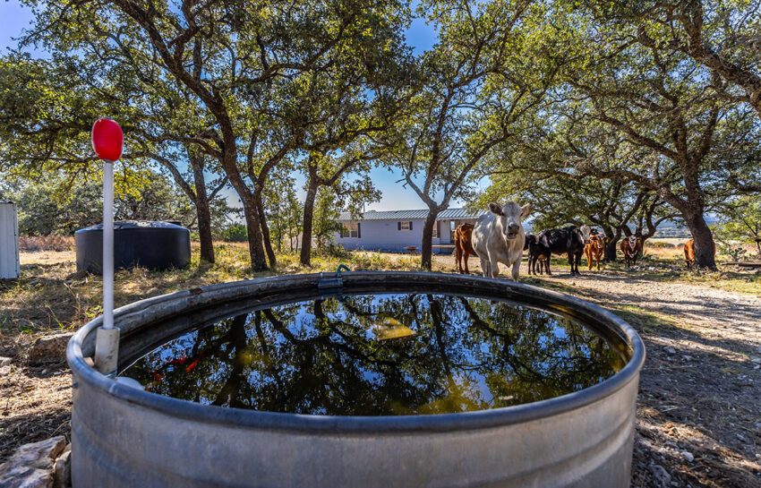 Saylor Mountain Ranch 121 Acre Ranch in Mills County Texas Image 16