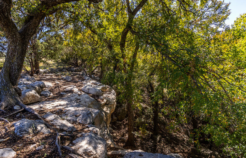 Saylor Mountain Ranch 121 Acre Ranch in Mills County Texas Image 4