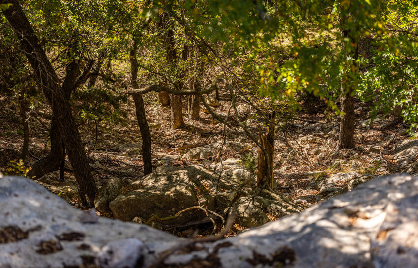 Saylor Mountain Ranch 121 Acre Ranch in Mills County Texas Image 5