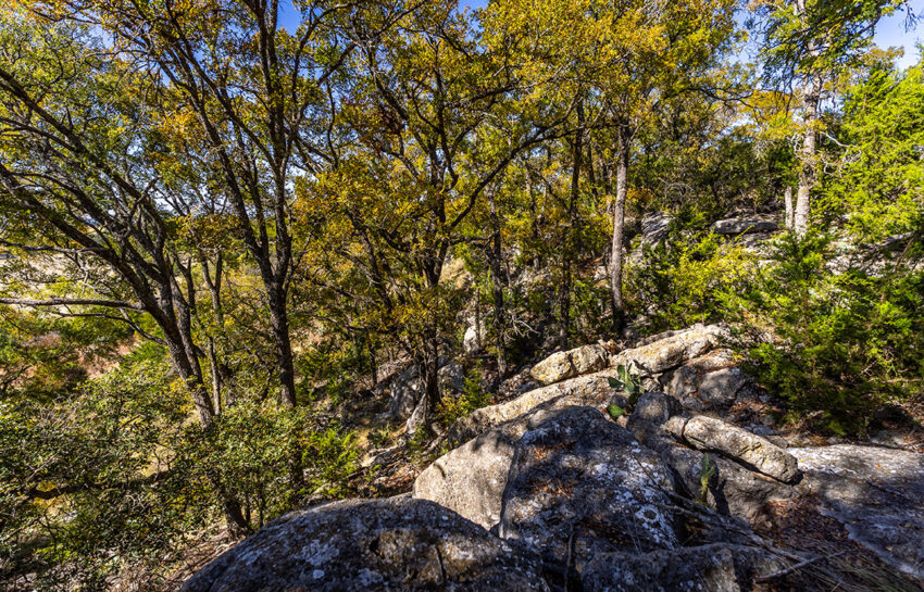 Saylor Mountain Ranch 121 Acre Ranch in Mills County Texas Image 7