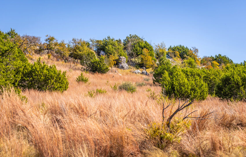 Saylor Mountain Ranch 121 Acre Ranch in Mills County Texas Image 8