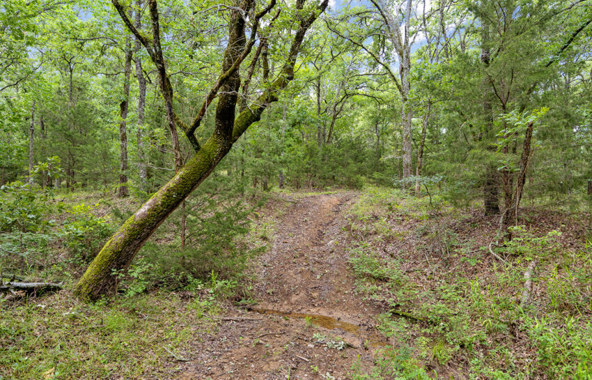 Trinity Postmarc Ranch 73 Acre Ranch For Sale In Navarro County Image 10