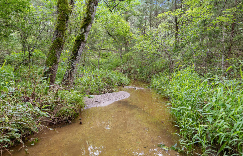 Trinity Postmarc Ranch 73 Acre Ranch For Sale In Navarro County Image 11
