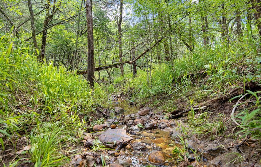 Trinity Postmarc Ranch 73 Acre Ranch For Sale In Navarro County Image 12