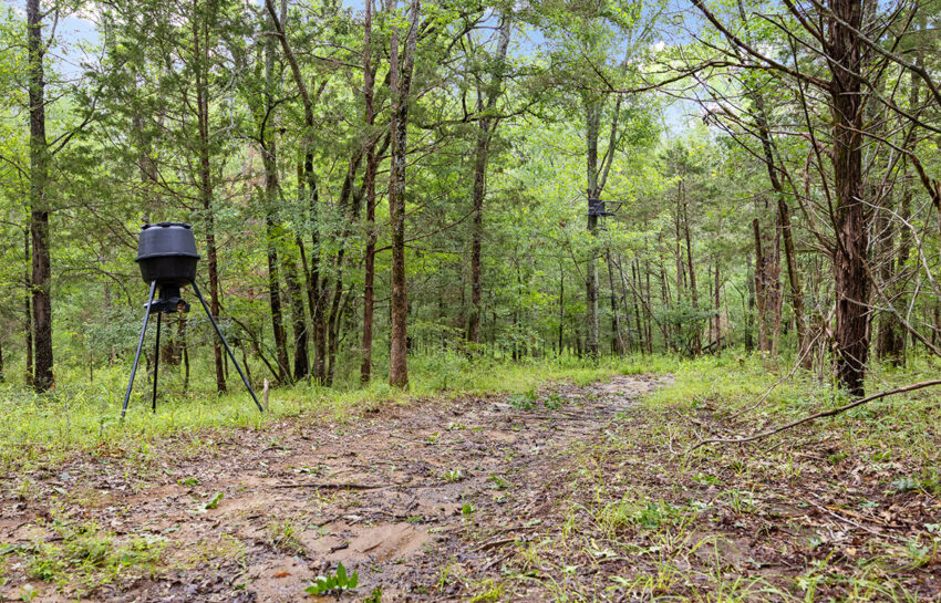 Trinity Postmarc Ranch 73 Acre Ranch For Sale In Navarro County Image 13