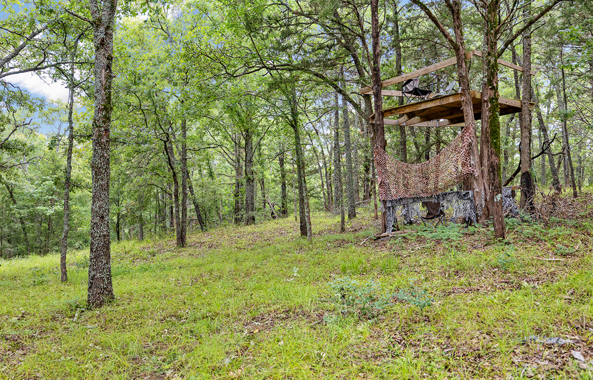 Trinity Postmarc Ranch 73 Acre Ranch For Sale In Navarro County Image 14