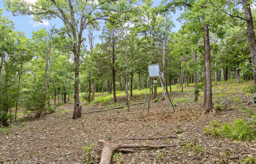 Trinity Postmarc Ranch 73 Acre Ranch For Sale In Navarro County Image 15