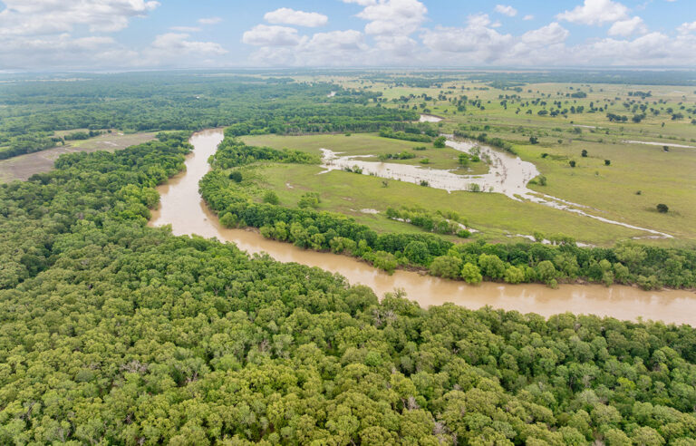 Trinity Postmarc Ranch 73 Acre Ranch For Sale In Navarro County Image 18