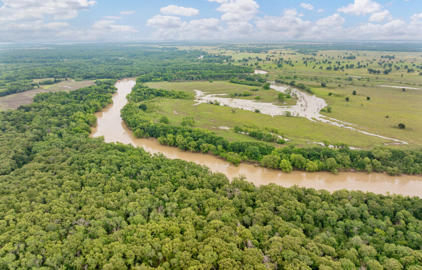 Trinity Postmarc Ranch 73 Acre Ranch For Sale In Navarro County Image 18