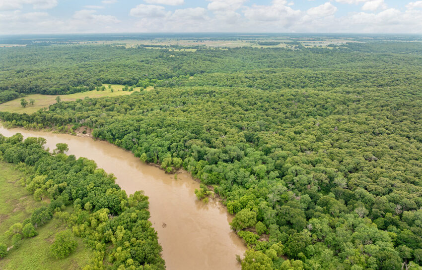 Trinity Postmarc Ranch 73 Acre Ranch For Sale In Navarro County Image 20