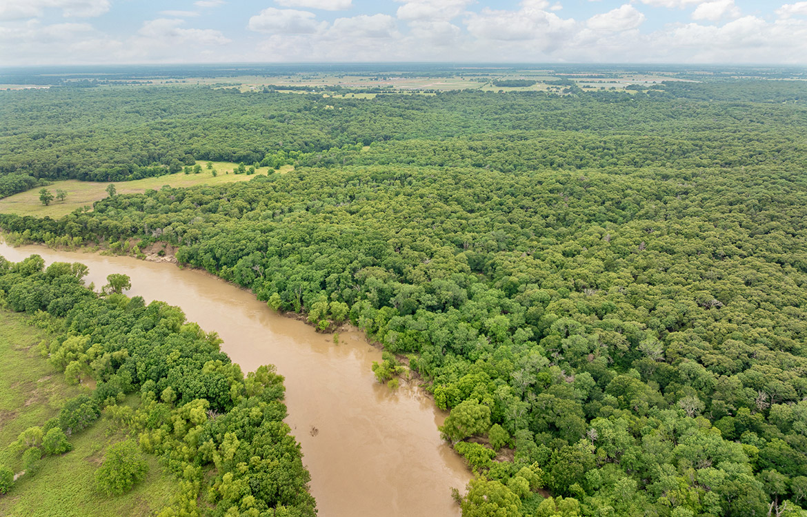 Trinity Postmarc Ranch 73 Acre Ranch For Sale In Navarro County Image 20