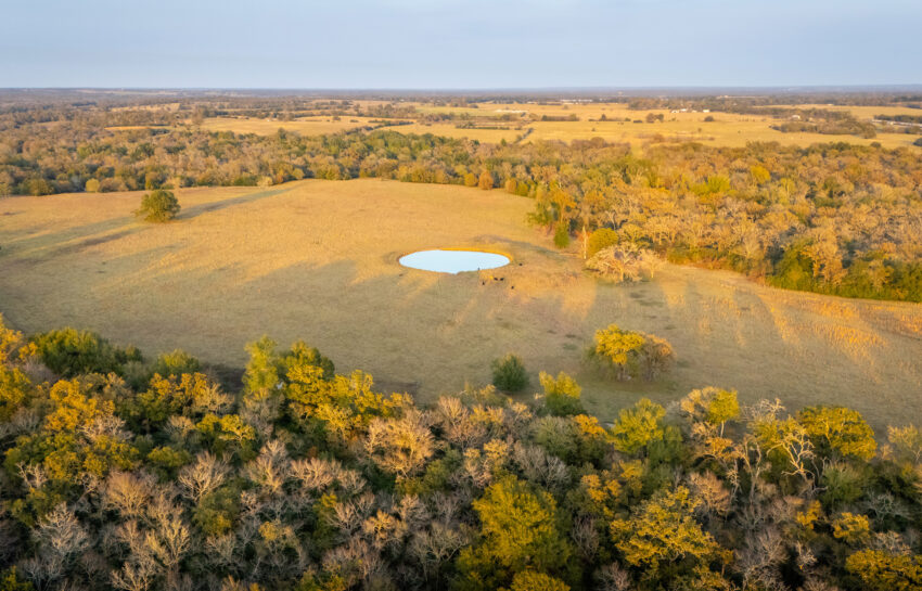Buckhorn Ranch 208 Acres For Sale in Robertson County Image 16