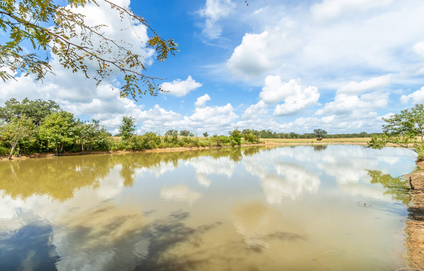 Gran Pasto Ranch 391 Acre Ranch For Sale In Robertson County Image 1