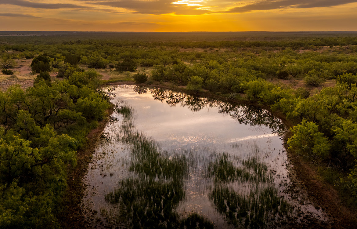 Colorado River Bluff Ranch 309 Acres For Sale In Runnels County Image 11